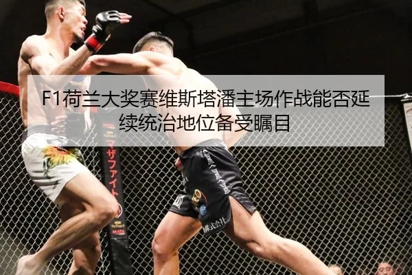 he-lan-da-jiang-sai-wei-si-ta-pan-zhu-chang-zuo-zhan-neng-fou-yan-xu-tong-zhi-di-wei-bei-shou-zhu-mu-3-625.jpg