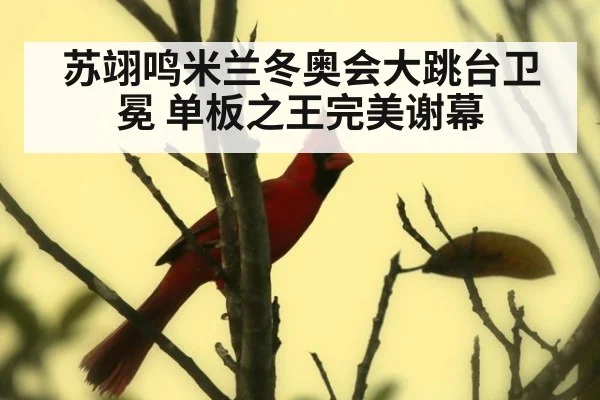 苏翊鸣米兰冬奥会大跳台卫冕 单板之王完美谢幕